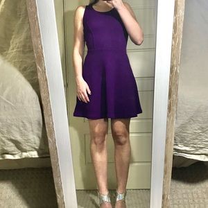 Aqua Stretch Skater Dress - Bright Purple
